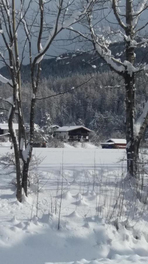 Tyrol Appartements 埃尔瓦尔德 外观 照片